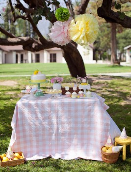 Lemonade Stand-Nicole Benitez Photography-_003