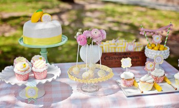 Lemonade Stand-Nicole Benitez Photography-_005