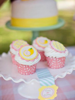 Lemonade Stand-Nicole Benitez Photography-_009