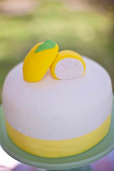 Lemonade Stand-Nicole Benitez Photography-_012