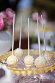 Lemonade Stand-Nicole Benitez Photography-_019