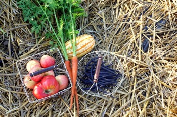 harvest party entertaining tips