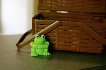 frog