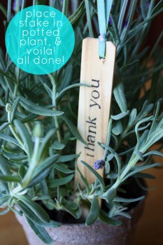 garden-stake-party-favors-4