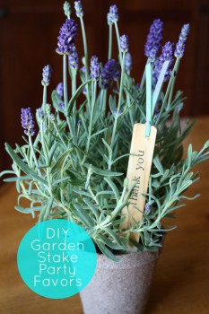 garden-stake-party-favors