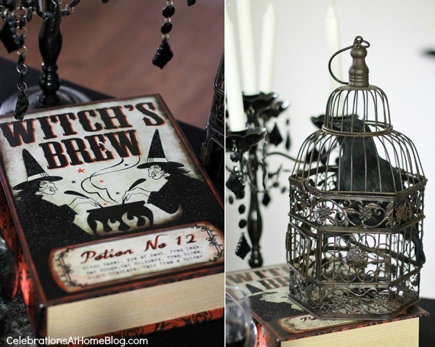 bruxas spell book & corvo na gaiola
