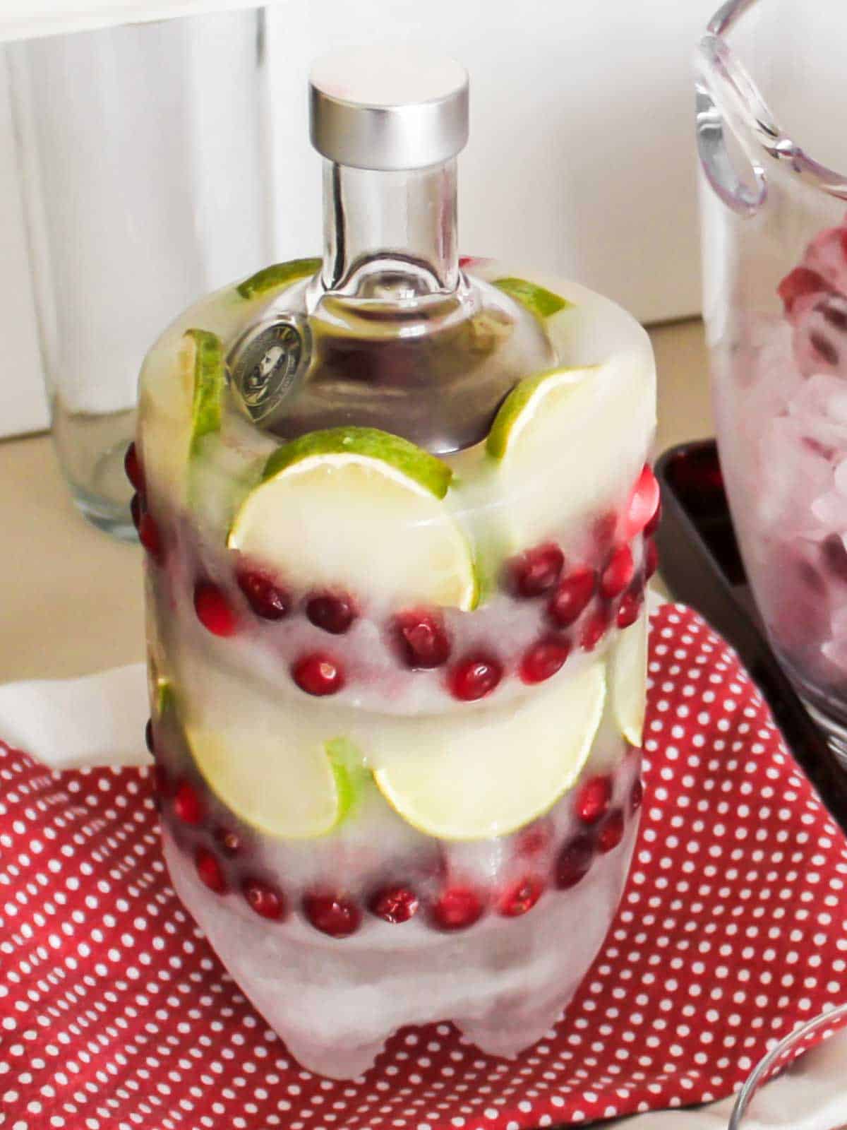 bottle of vodka inside ice mold with cranberries and lime slices, sitting on red towel.