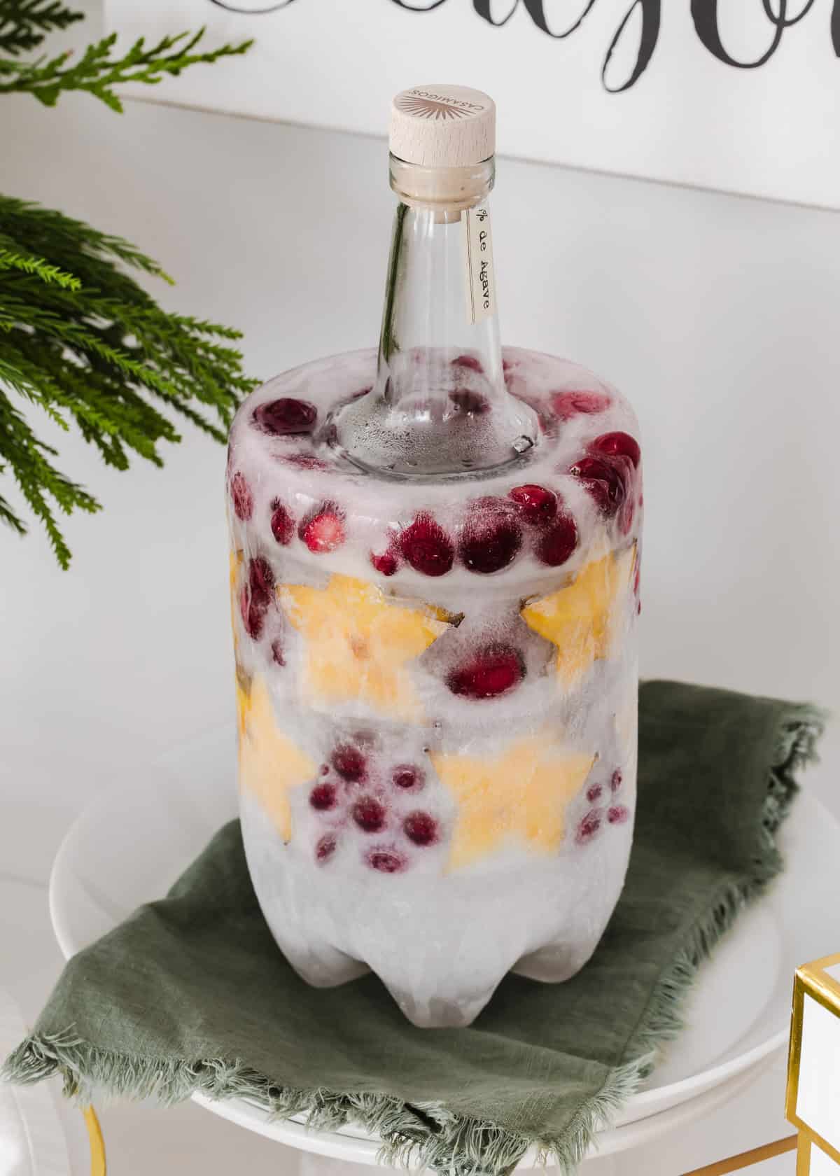 DIY ice mold for chilled liquor bottle, with cranberries and star fruit.