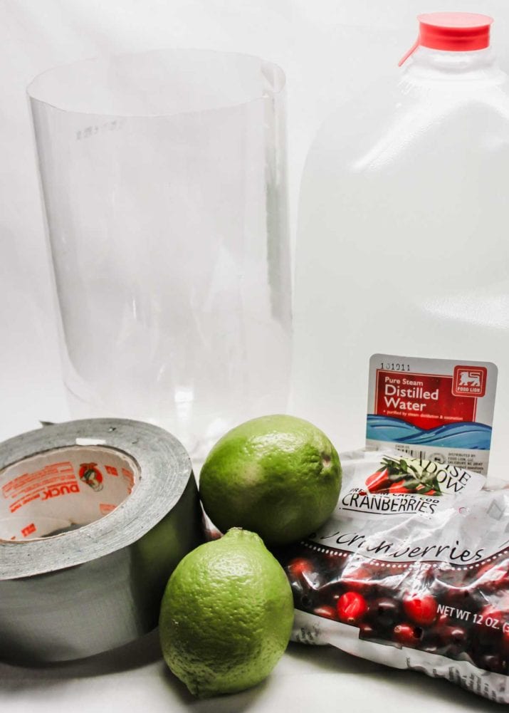 supplies to make an ice chiller for bottles, with limes, cranberries, tape and containers.