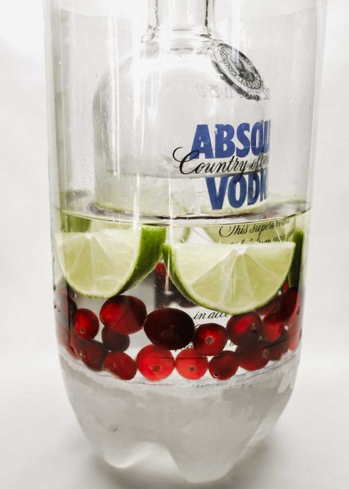 vodka bottle in water mold with berries and lime slices.