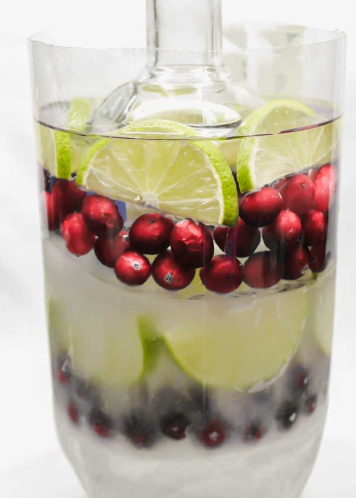 vodka bottle in water mold with berries and lime slices.