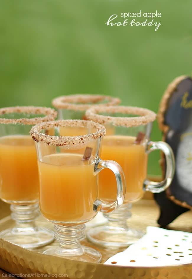 Enjoy this spiced apple hot toddy recipe for fall or winter. It's like hot cider with a kick!