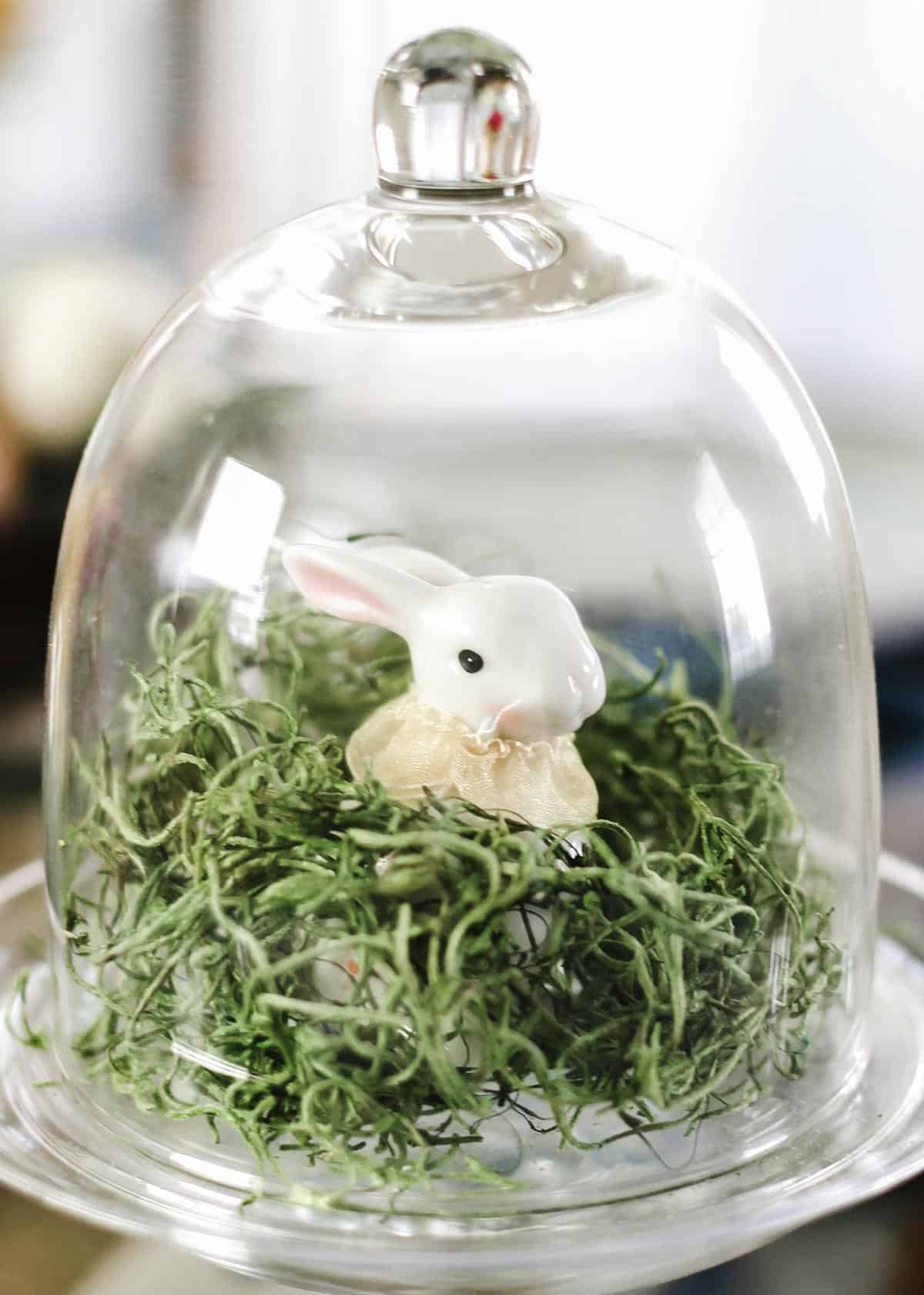 tiny rabbit figurine in green nest under glass cloche.