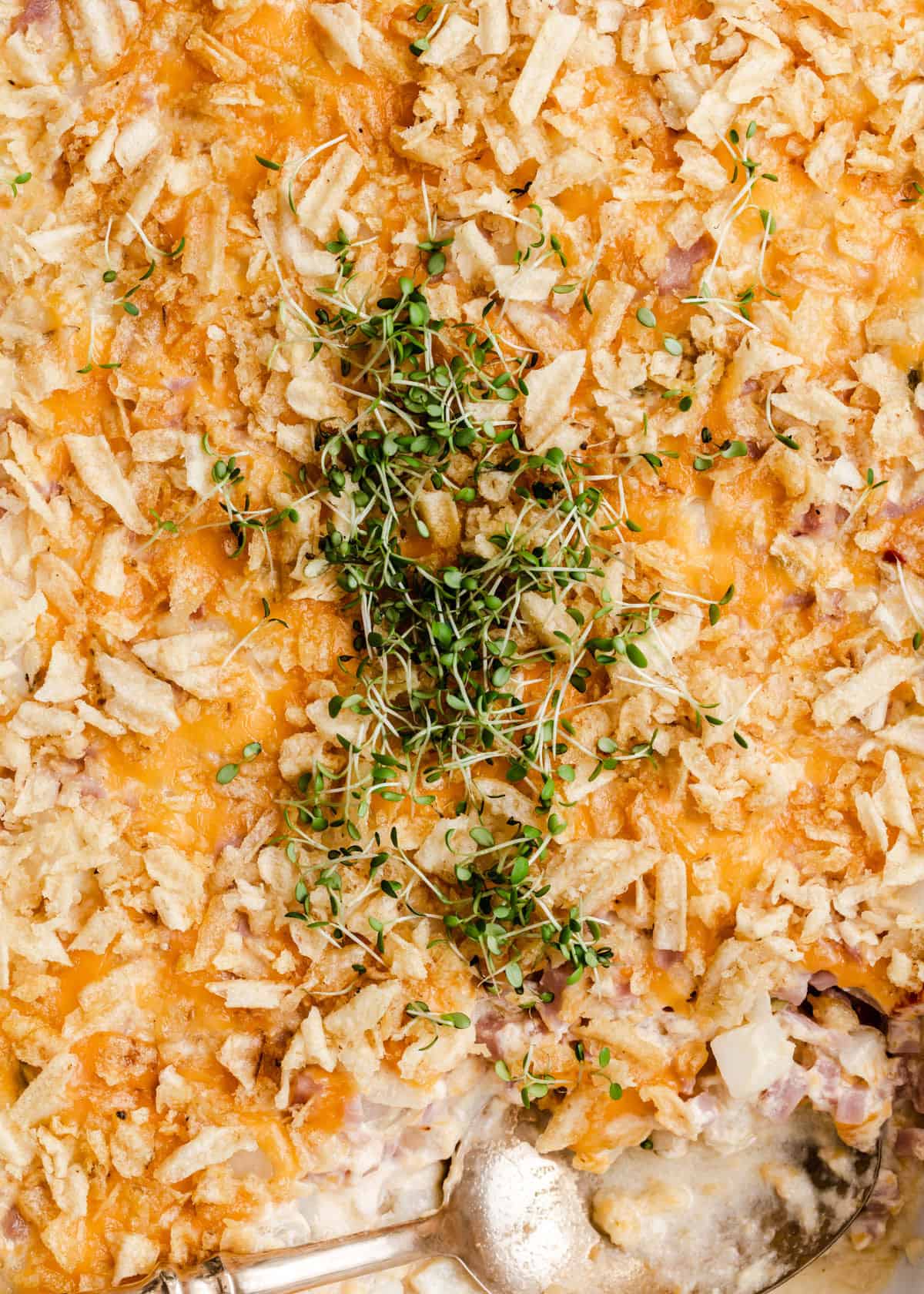 close up view of cheesy casserole topped with microgreens and a large spoon in scooped out area.