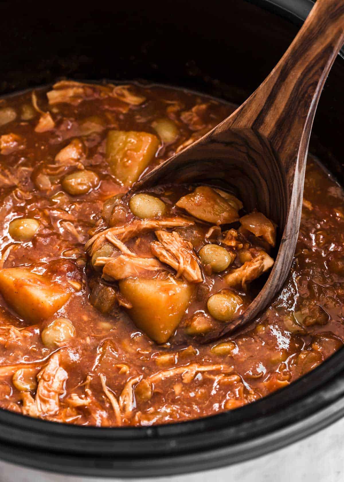 Brunswick stew in a slow cooker with wood ladle scooping some.