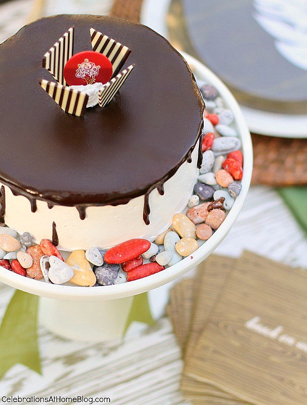 Nature inspired tabletop for father's day; Cake surrounded by chocolate "rocks."