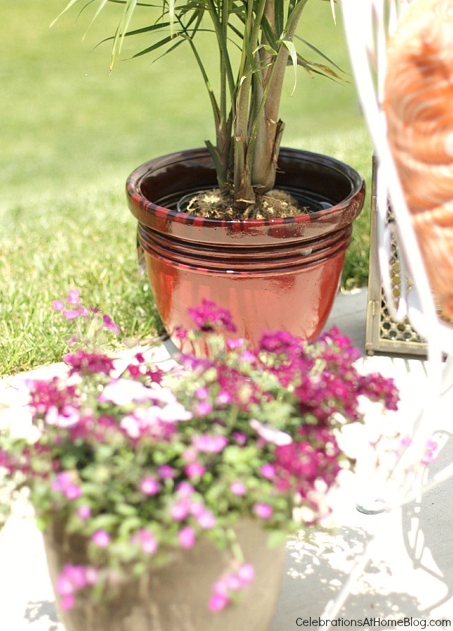 Create a cozy spot for entertaining outdoors, using flowers and plants to help set the scene.