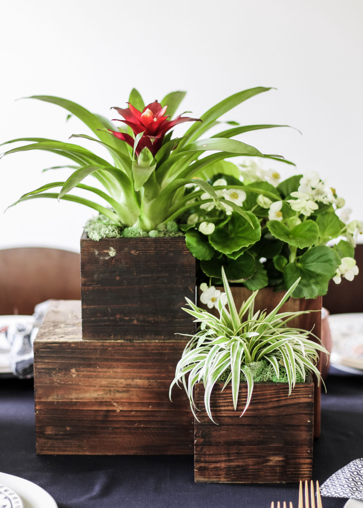 wood blocks as centerpiece with green plants sitting on top.