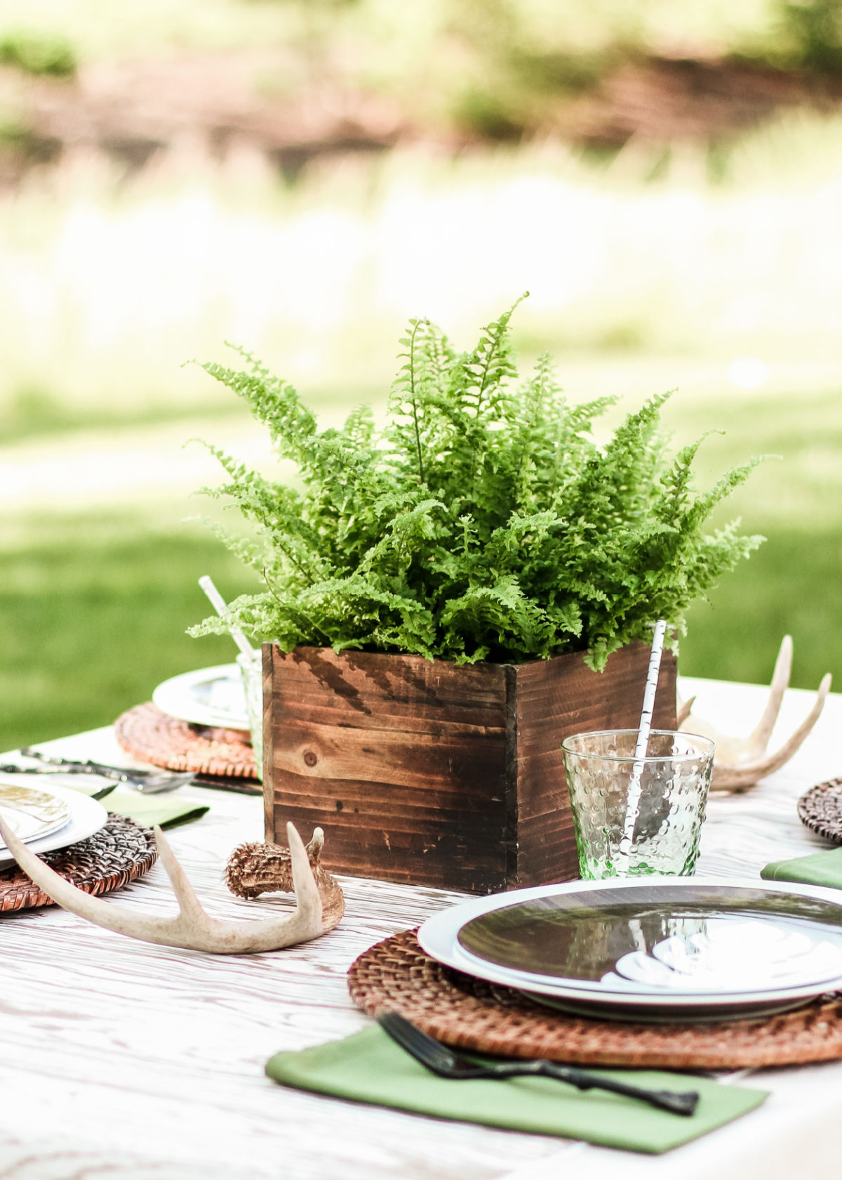 outdoor table setting with fern plant centerpiece.