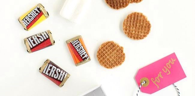 Mini S’mores Kit Favors with a Twist