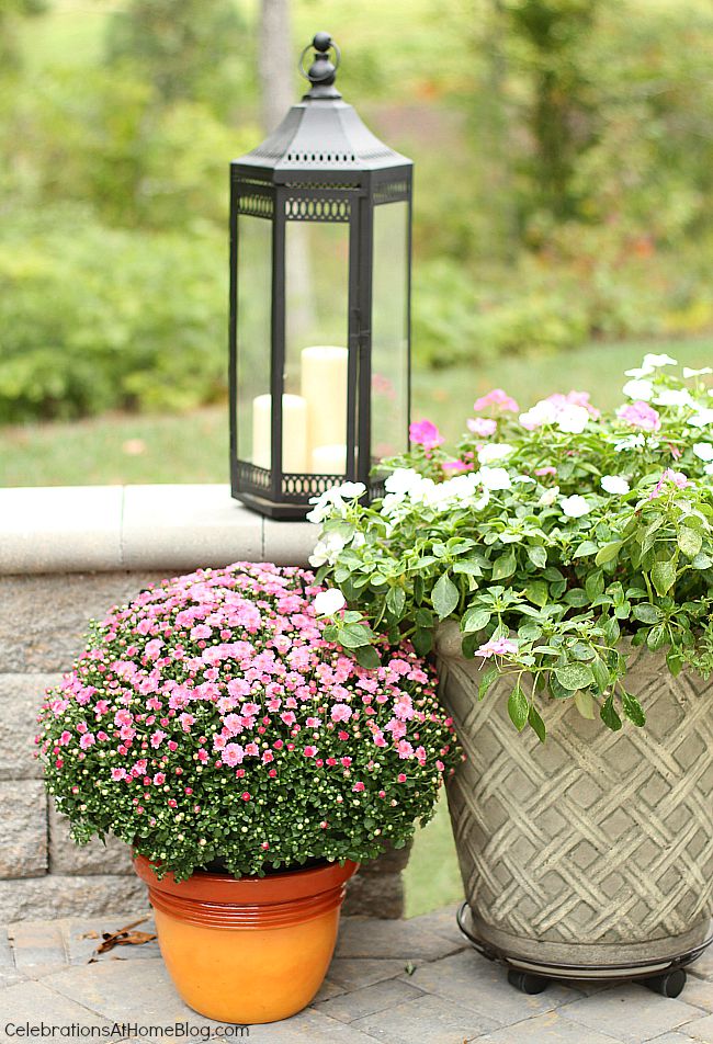 Check out our Fall patio decor for entertaining during these mild weather months.