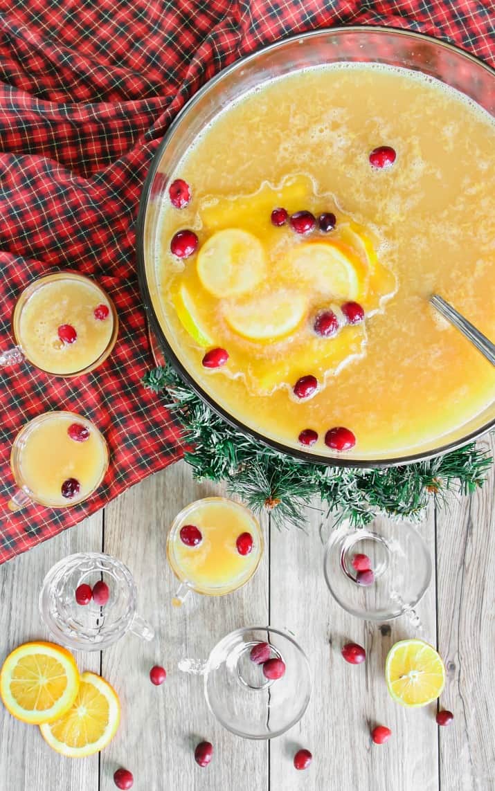 champagne punch in punch bowl with cranberries 