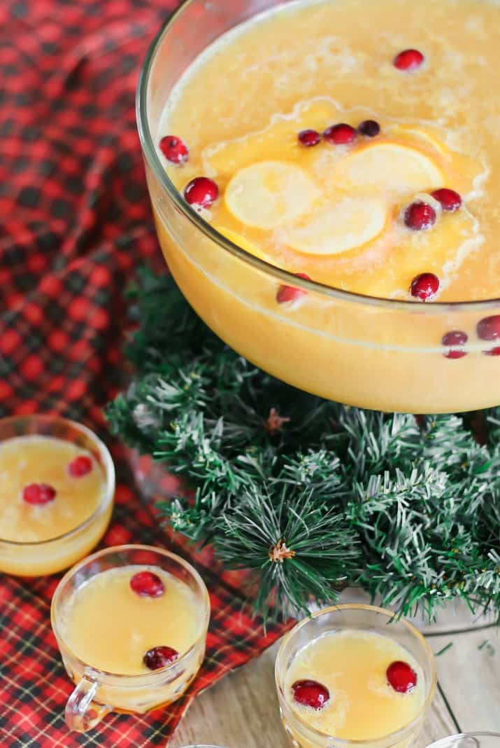 Christmas party punch