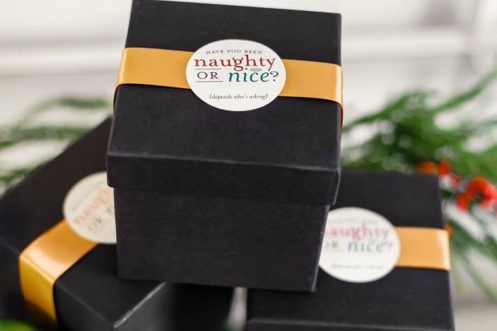 Naughty or nice party favor boxes