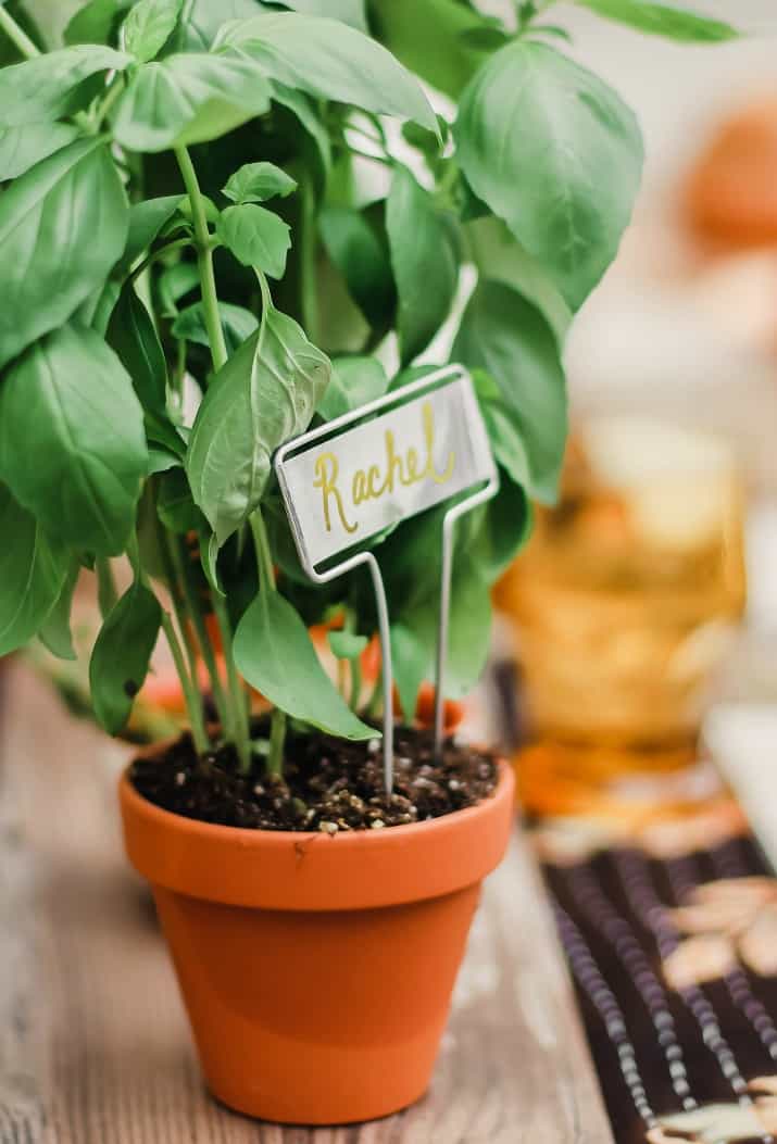 potter herb party favors and place card