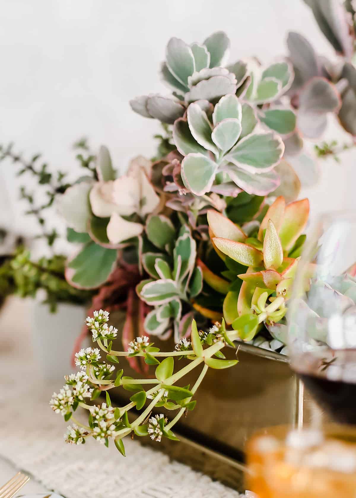 succulents in a gold planter used as table centerpiece.