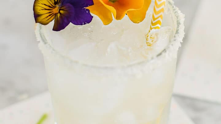 frozen mezcal margarita recipe