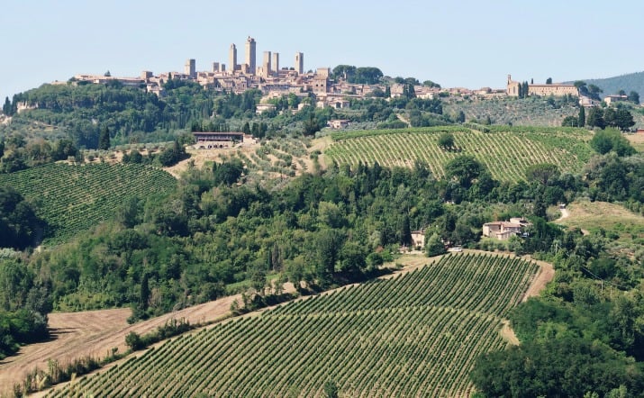 Our Wine Tasting Tour in Tuscany