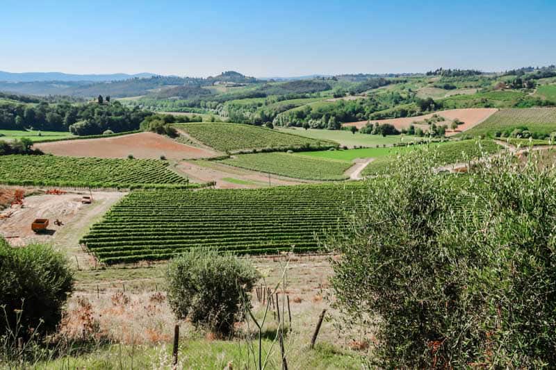 Tuscany vineyards and hillside.