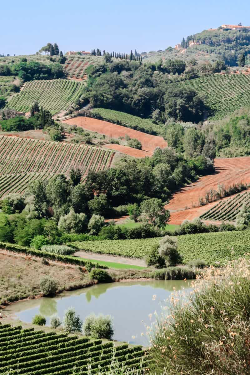 view of Tuscany hills and vineyards. 