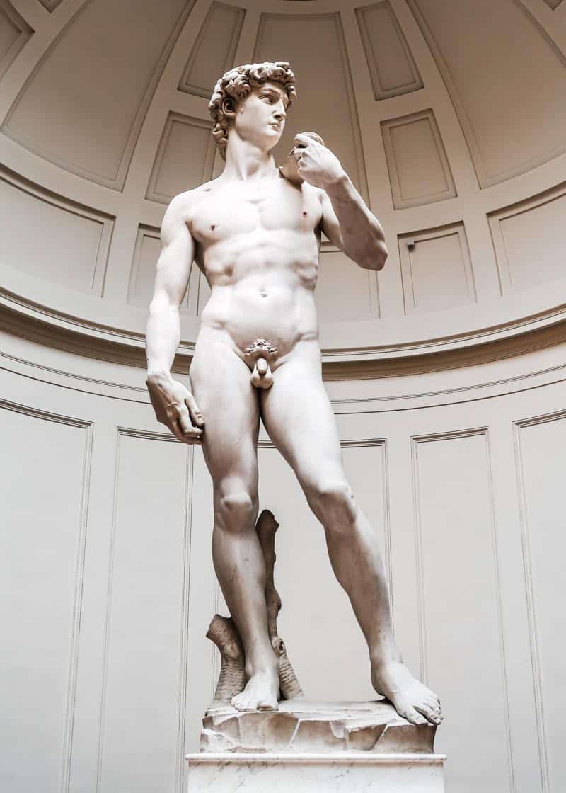 the statue of David.