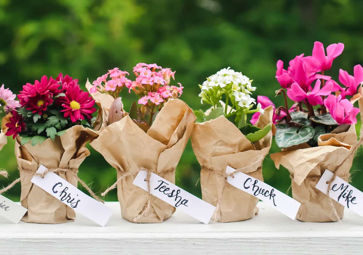potted flowers wrapped in brown kraft paper with name tags attached, sitting in a row outside.