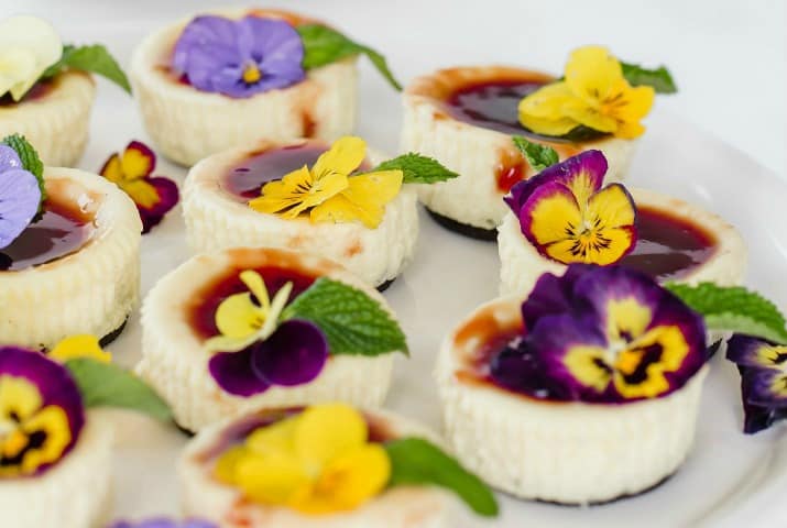Mini Cheesecakes Recipe for Bite Size Desserts