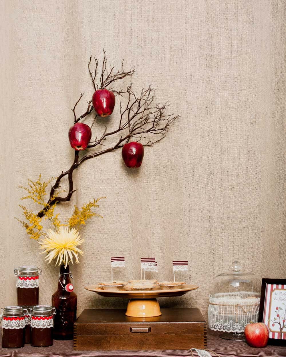 burlap backdrop with branch and apples attached.