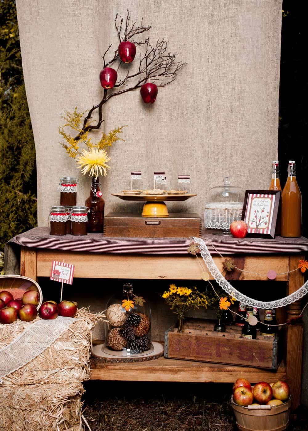 apple themed party table set outdoors, with food, drinks, and lots of apples.