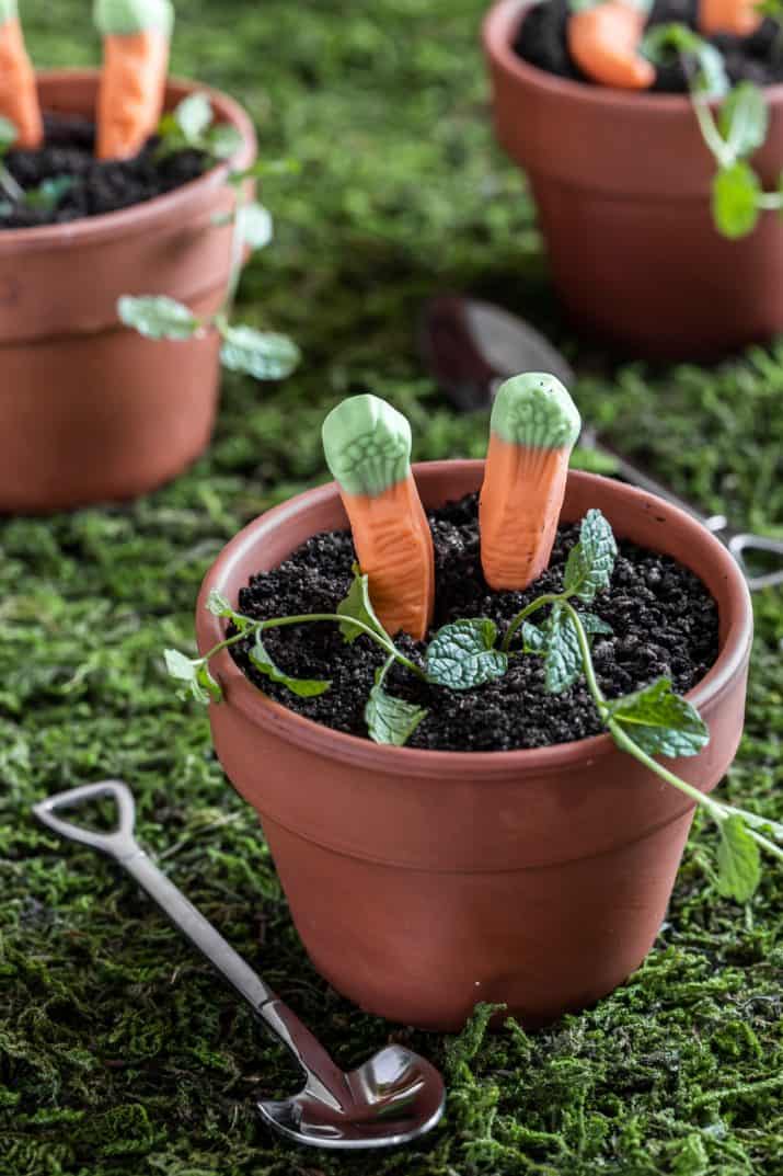 mini dirt cakes in terra cotta pots with candy carrots for decoration