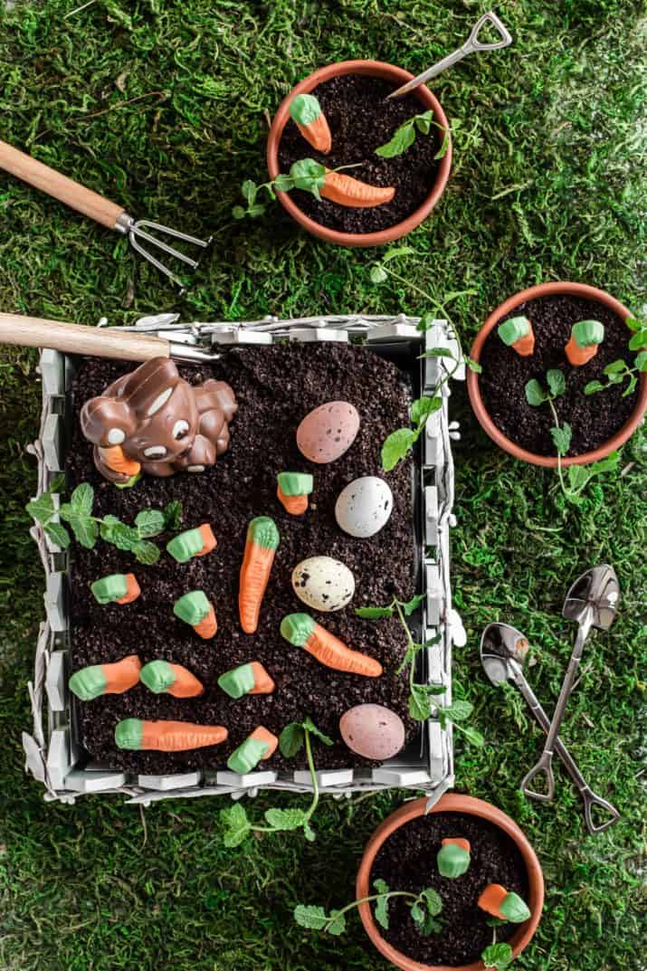 overhead view of garden dirt cake with candy carrots decoration