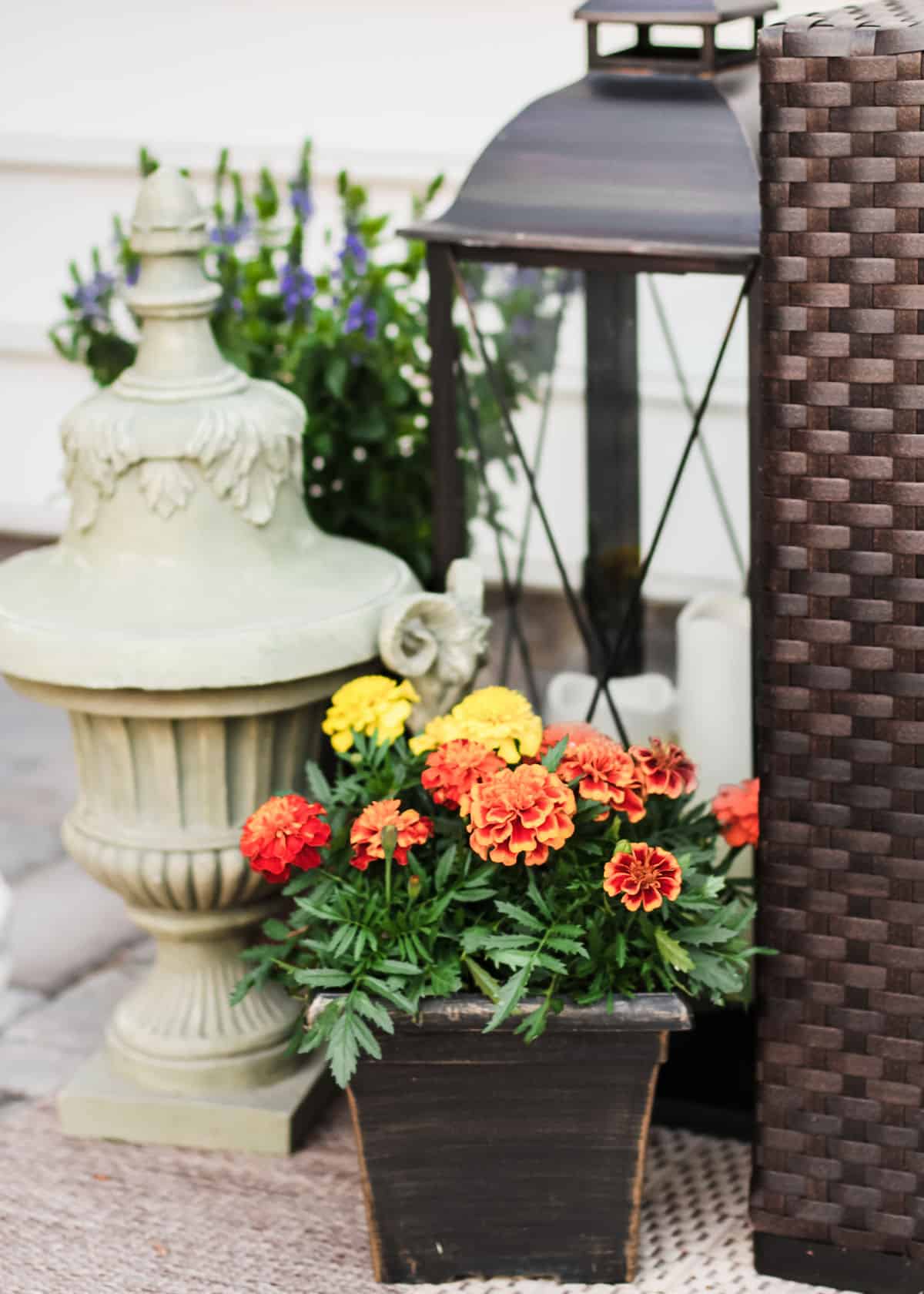 potted flowers on patio.
