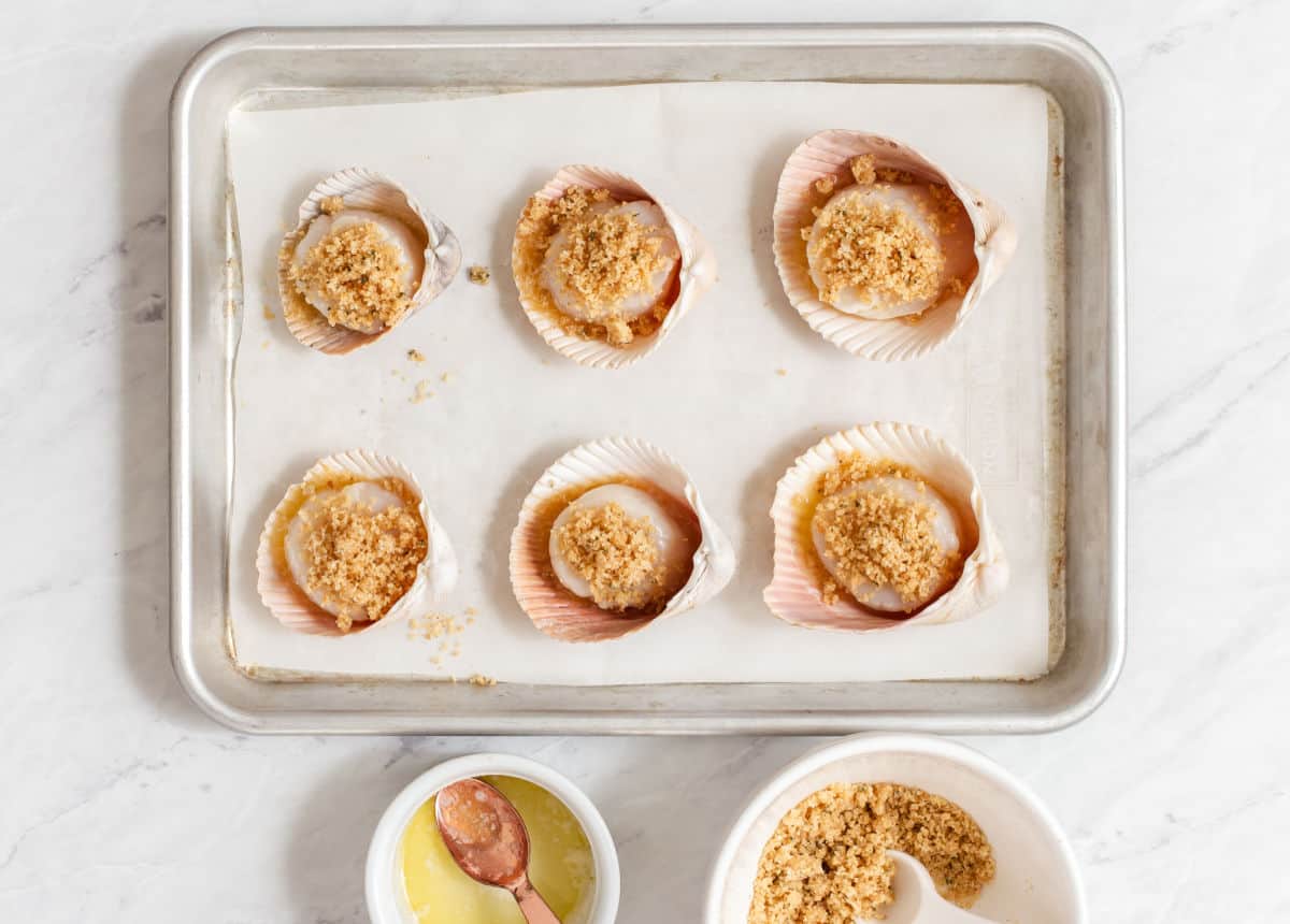Jumbo scallops placed in seashells and topped with breadcrumbs ready to bake.