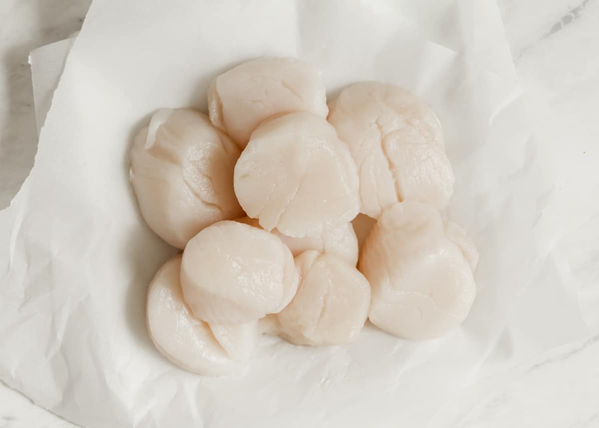 Raw jumbo scallops piled on parchment paper.